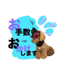 日常会話（gengen）（個別スタンプ：13）