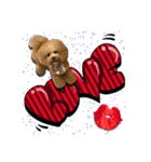日常会話（gengen）（個別スタンプ：16）