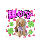 日常会話（gengen）（個別スタンプ：19）