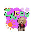 日常会話（gengen）（個別スタンプ：20）
