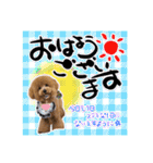 日常会話（gengen）（個別スタンプ：22）