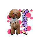 日常会話（gengen）（個別スタンプ：23）