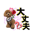 日常会話（gengen）（個別スタンプ：29）