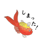 戯画金魚（個別スタンプ：7）