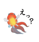 戯画金魚（個別スタンプ：9）