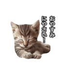 子猫の気持ちにゃん！（個別スタンプ：2）