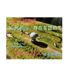 信じる力(スピリチュアル)3（個別スタンプ：5）
