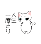 怒ってるけど乙女な猫（個別スタンプ：5）