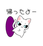 怒ってるけど乙女な猫（個別スタンプ：33）