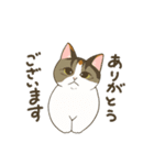 近藤家のねこちゃん4（個別スタンプ：3）