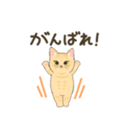 近藤家のねこちゃん4（個別スタンプ：13）