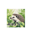 動物の春（個別スタンプ：1）