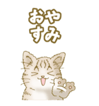 猫大好き！（大）その45 （基本）（個別スタンプ：39）