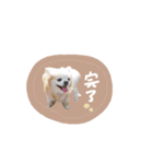♡おもちくん（個別スタンプ：1）