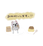 ♡おもちくん（個別スタンプ：2）