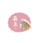 ♡おもちくん（個別スタンプ：5）