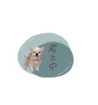 ♡おもちくん（個別スタンプ：7）