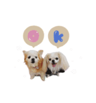 ♡おもちくん（個別スタンプ：8）