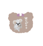 ♡おもちくん（個別スタンプ：11）