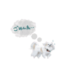 ♡おもちくん（個別スタンプ：13）