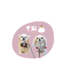 ♡おもちくん（個別スタンプ：16）