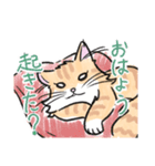 毛長ねこもったん（個別スタンプ：4）