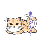 毛長ねこもったん（個別スタンプ：11）