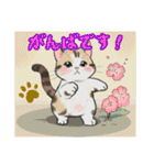 こねこ達の日常〜よく使う言葉集〜（個別スタンプ：16）