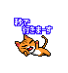 ドット絵へのこだわり。ねこ。（個別スタンプ：12）