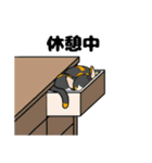 三毛猫スタンプ その2（個別スタンプ：5）