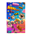 ⚫猫ミーム⭐ポップアート40匹セット（個別スタンプ：31）