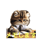 可愛い猫ちゃん秘書（個別スタンプ：12）