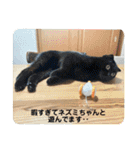 いつでも猫と一緒スタンプその3（個別スタンプ：7）