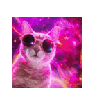 飛び出す 宇宙猫 space cat（個別スタンプ：14）