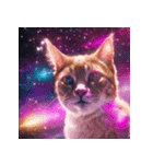 飛び出す 宇宙猫 space cat（個別スタンプ：19）