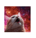 飛び出す 宇宙猫 space cat（個別スタンプ：21）
