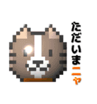 puku_bit neko2 (プクビット猫2)（個別スタンプ：8）