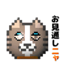 puku_bit neko2 (プクビット猫2)（個別スタンプ：12）