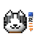 puku_bit neko2 (プクビット猫2)（個別スタンプ：14）