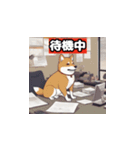 柴犬スタンプ中（個別スタンプ：24）