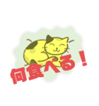 猫の一人言 4（個別スタンプ：14）