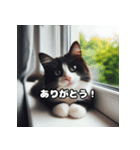 かわいい3Dの猫（個別スタンプ：3）