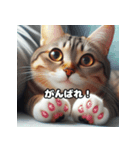 かわいい3Dの猫（個別スタンプ：6）