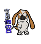 バセットハウンド(犬) 51（個別スタンプ：20）