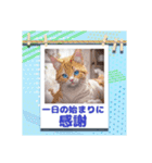 ポジティブ猫のささやき（個別スタンプ：3）