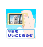 ポジティブ猫のささやき（個別スタンプ：7）