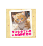 ポジティブ猫のささやき（個別スタンプ：11）