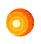 輝く未来を照らす、偉大なる太陽 超貴重（個別スタンプ：5）