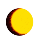 輝く未来を照らす、偉大なる太陽 超貴重（個別スタンプ：8）