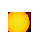 光と力、生命を育む太陽の輝き。夢と希望（個別スタンプ：3）